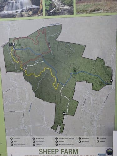 Sheep Farm Park