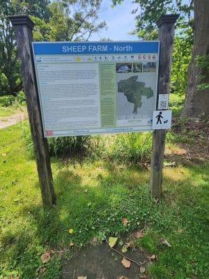 Sheep Farm Park