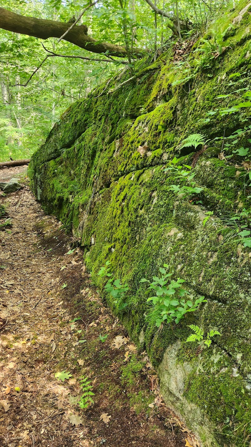 Sheep Farm Park - Groton, CT