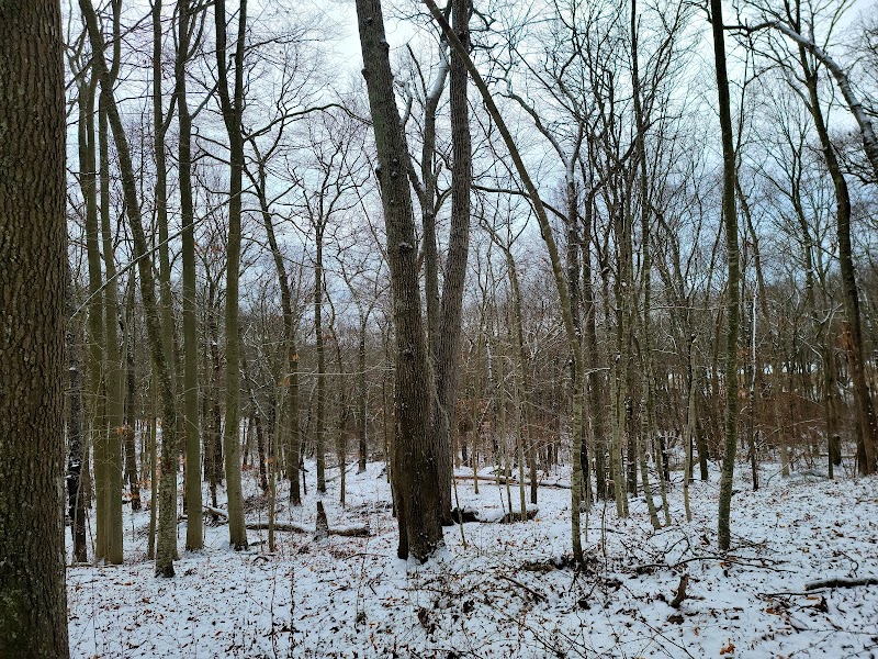 Sheep Farm Park - Groton, CT