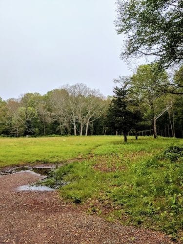 The Copp Family Park - Groton, CT