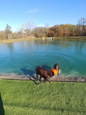 Happy Hounds Playground - Membership Dog Park