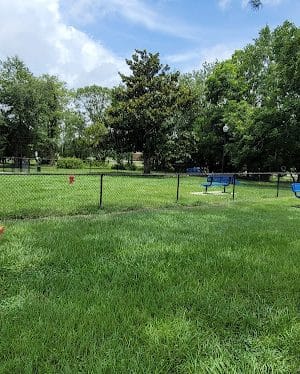 Bark Park