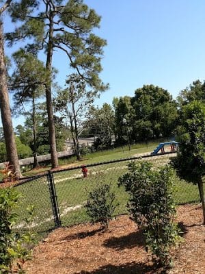 Bark Park