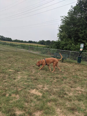 Dog Park at Love’s Travel Stops