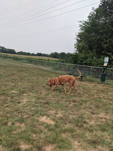 Dog Park at Love’s Travel Stops