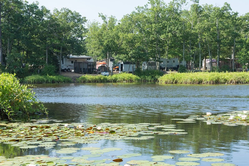 Coles Point Marina and RV Resort - Hague, VA