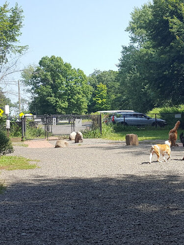 Hamden Dog Park