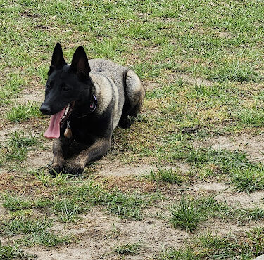 Heartland Off Leash Dog Park