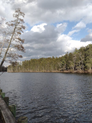 Hammonton Lake Park Trail