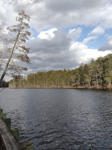 Hammonton Lake Park Trail