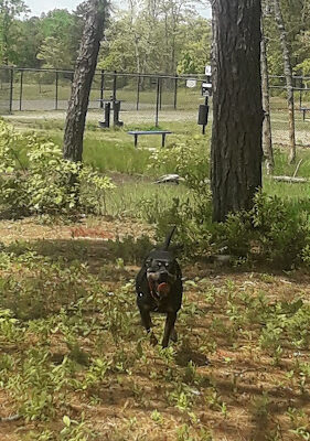 Moss Mill Park
