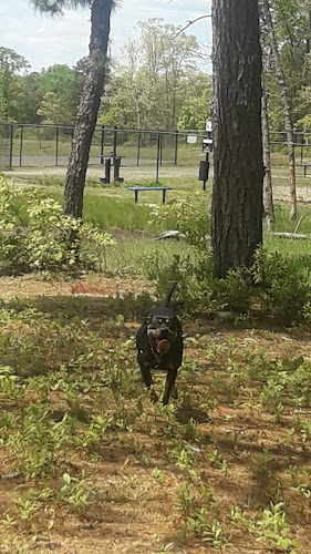 Moss Mill Park