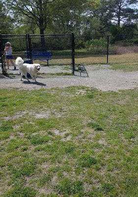 Ridgway Bark Park
