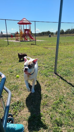 Hancock Dog Park