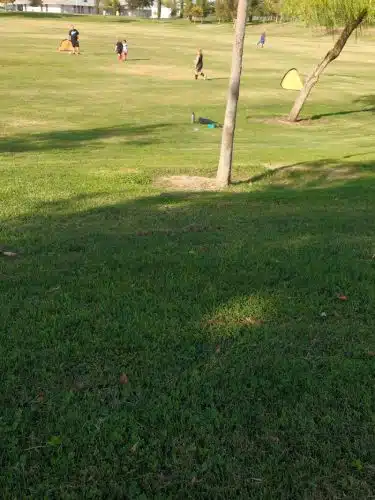 Freedom Park