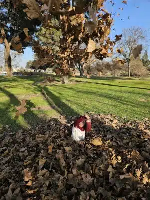 Hidden Valley Park