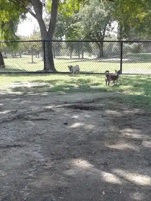 Hidden Valley Park