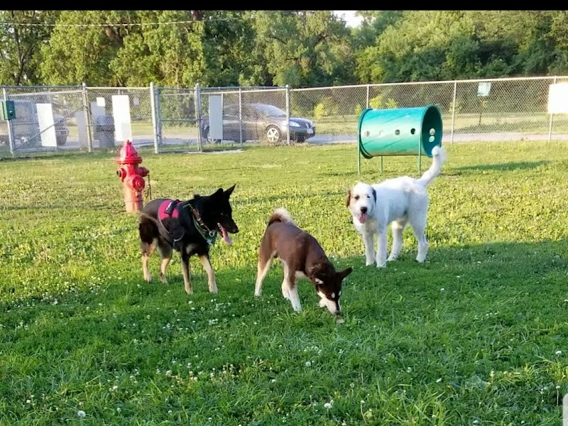 Dempsey Dog Park - Hannibal, MO