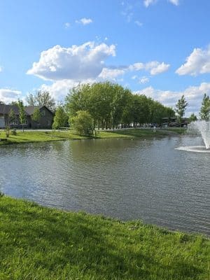 Dempsey Dog Park
