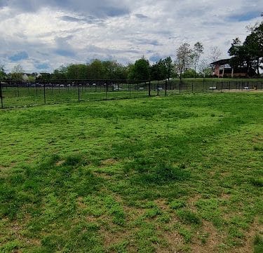Matthewstown Harmans Dog Park