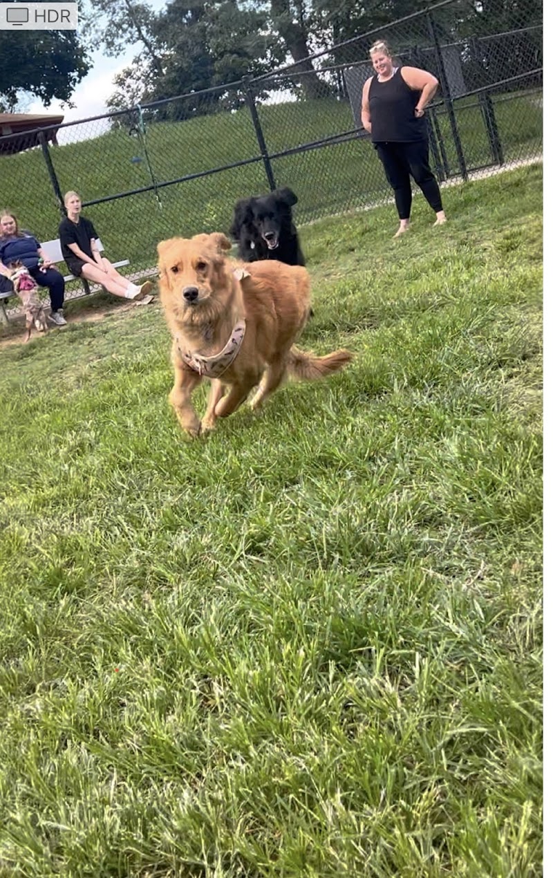 Matthewstown Harmans Dog Park - Hanover, MD