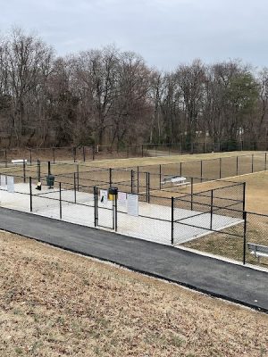 Matthewstown Harmans Dog Park