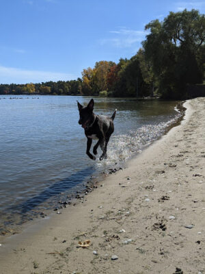 Judge James H. Lincoln Memorial Park