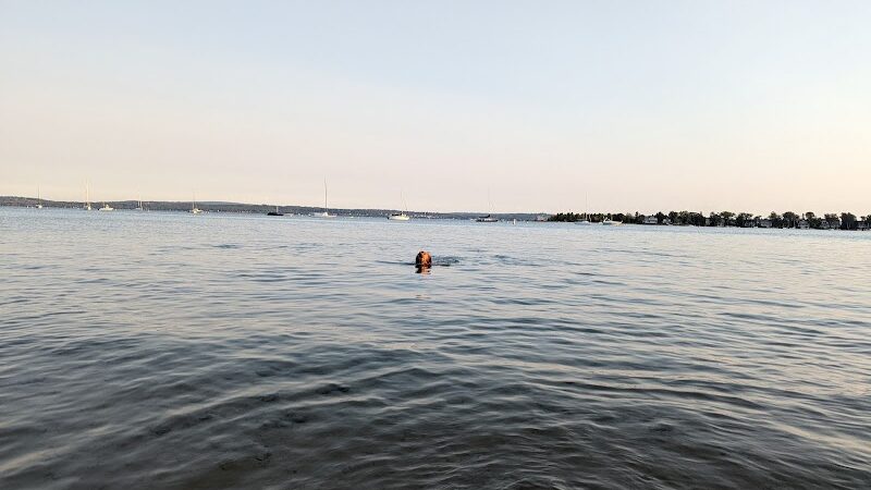 Zoll Street Beach - Harbor Springs, MI