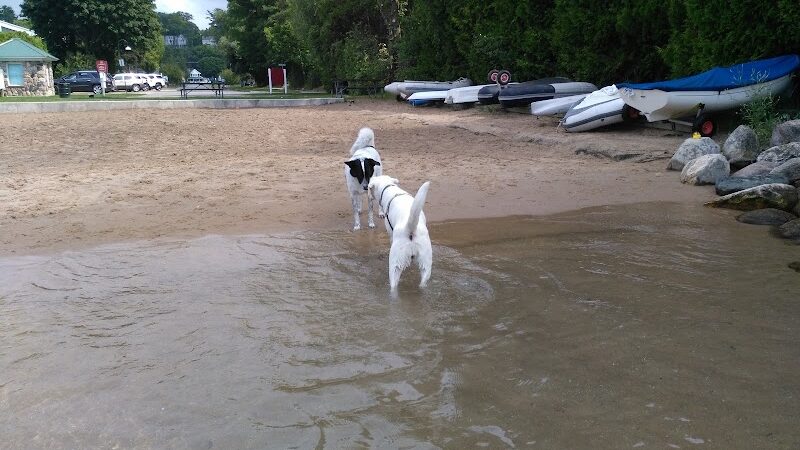Zoll Street Beach - Harbor Springs, MI