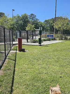Hardeeville Dog Park