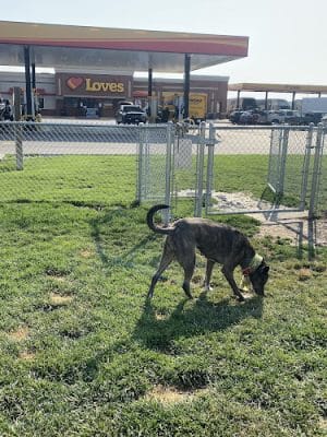 Dog Park at Love's Travel Stops