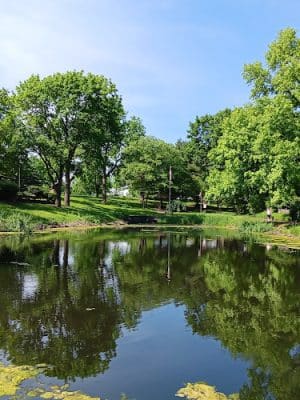 Dan Roth Park