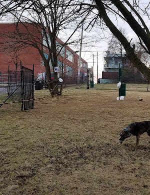 Friends of Midtown Dog Park
