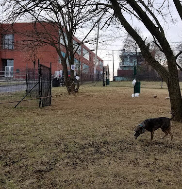 Friends of Midtown Dog Park