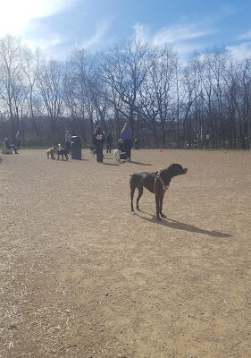 Kohl Memorial Park