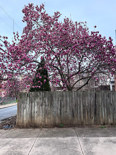 Penn and Dauphin Park