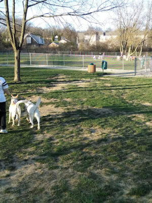 Penn Township Dog Park