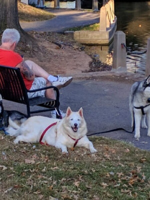 West Hudson Park