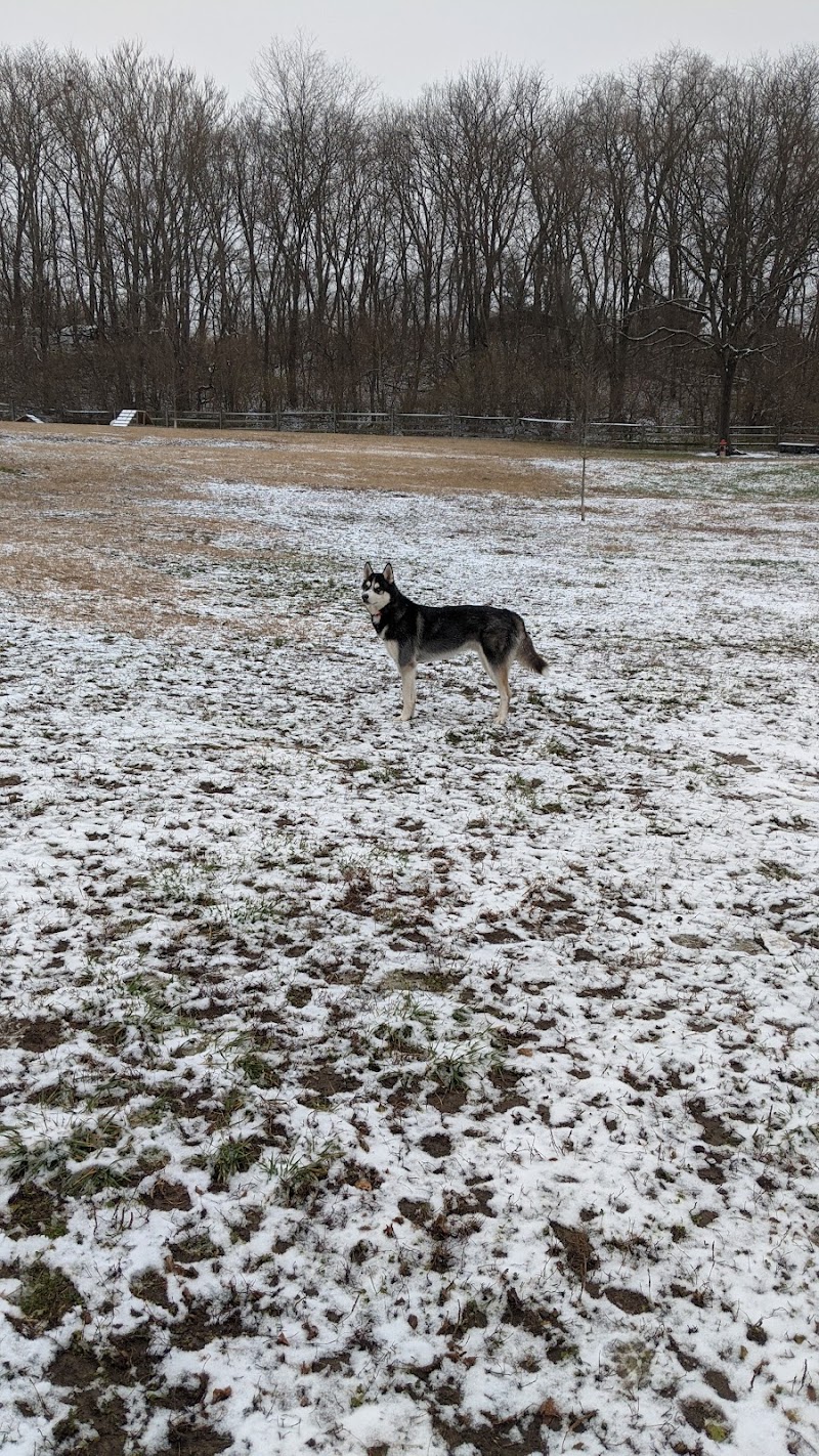 Harrison Dog Park - Harrison, OH