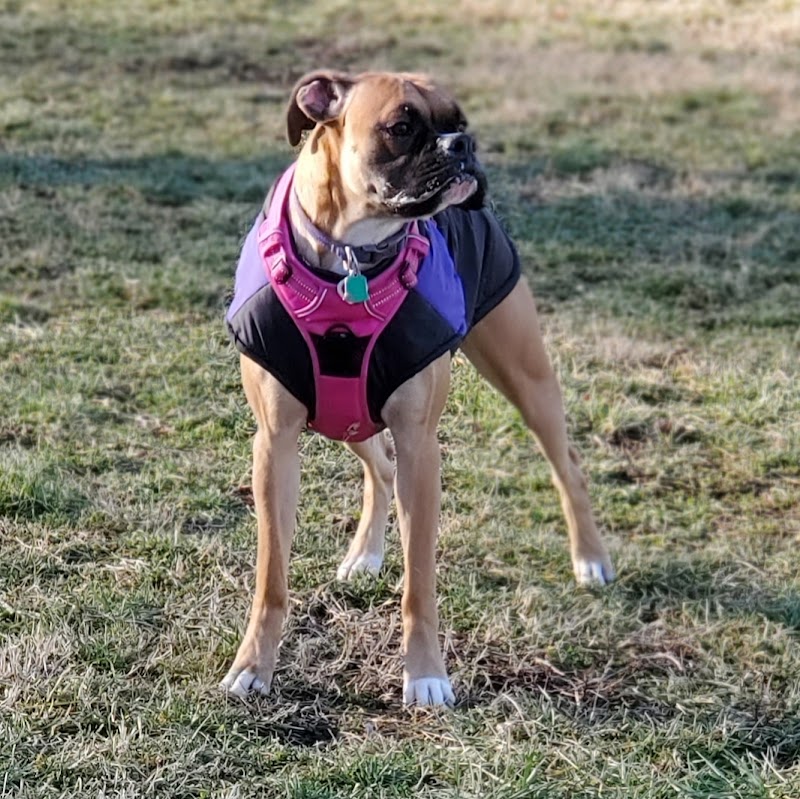 Harrison Dog Park - Harrison, OH