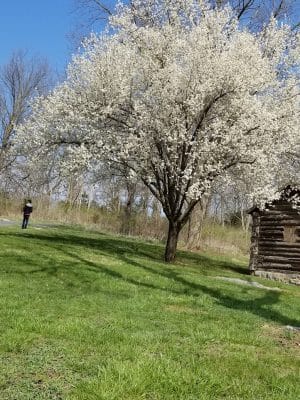 Biking Trail
