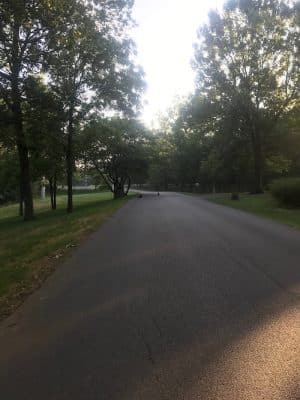 Biking Trail