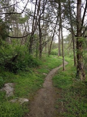 Hillandale Park