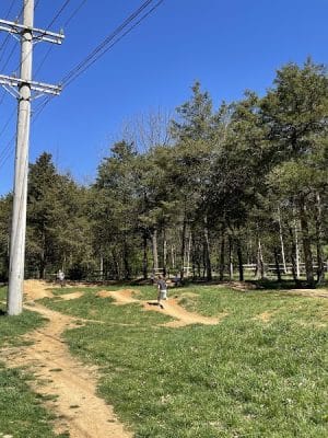 Hillandale Park