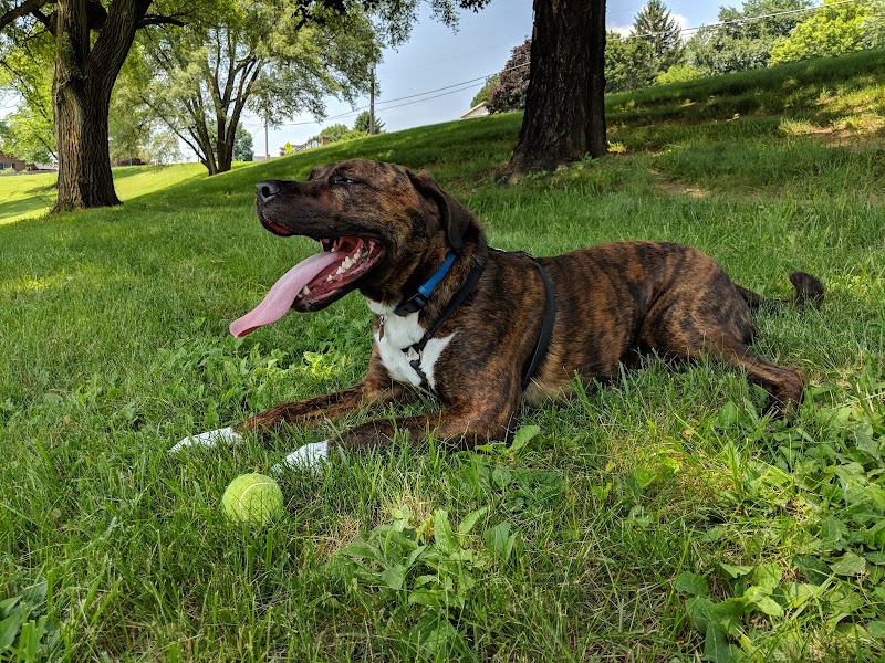 Kiwanis Park - Harrisonburg, VA