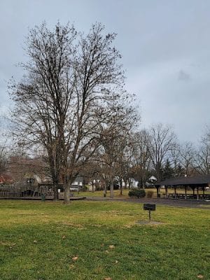 Purcell Park