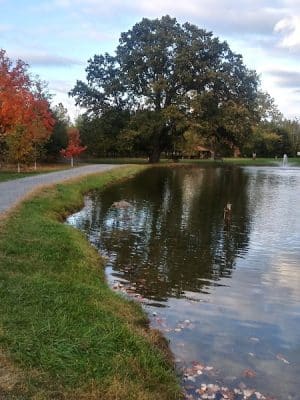 Purcell Park