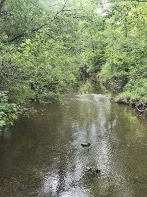 Purcell Park