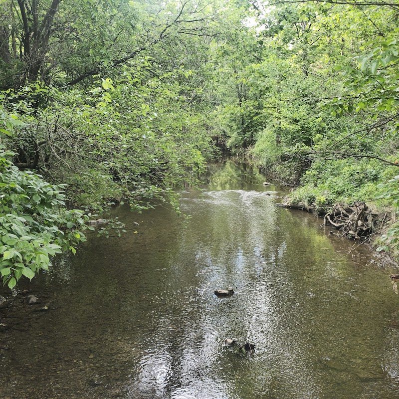 Purcell Park - Harrisonburg, VA